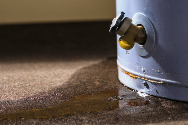 Best Sewage cleanup and water damage restoration  in Tarentum, PA
