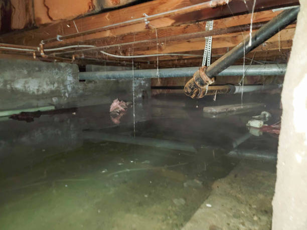 Best Commercial water damage restoration  in Tarentum, PA