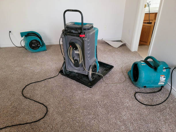 Best Local water damage restoration  in Tarentum, PA