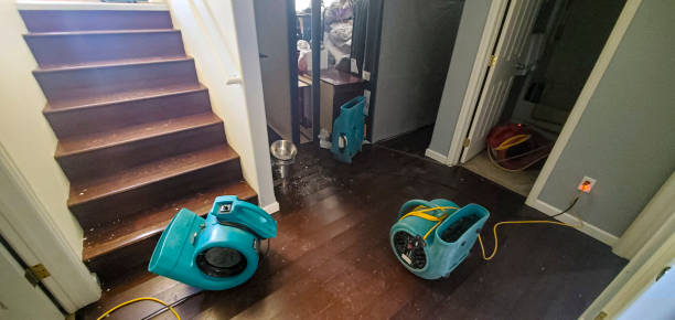 Best 24/7 water damage repair  in Tarentum, PA
