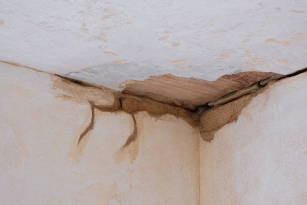Best Residential water damage restoration  in Tarentum, PA