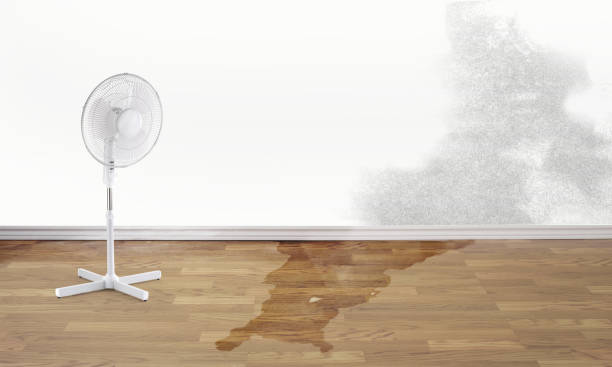 Best Flood restoration services  in Tarentum, PA