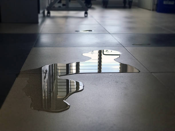 Best Professional water damage repair  in Tarentum, PA