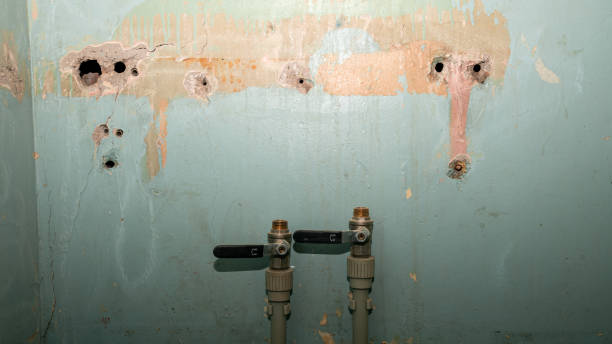 Best 24-hour water damage restoration  in Tarentum, PA